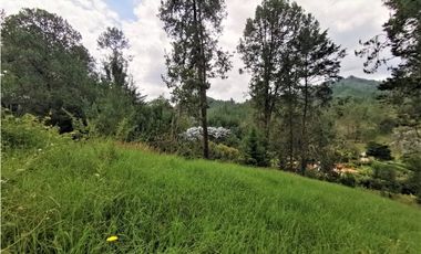 Venta Lote en Parcelación El Retiro