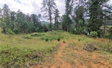 Venta Lote en Parcelación El Retiro