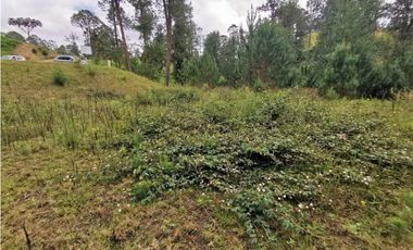 Venta Lote en Parcelación El Retiro