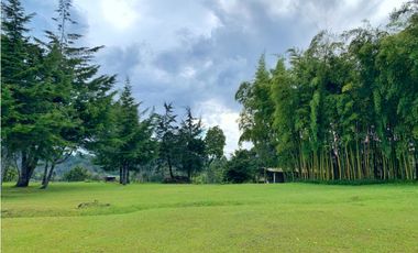 Finca en El Retiro Sector El Chuscal