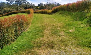 Venta de Lote vía Las Palmas - La Fe