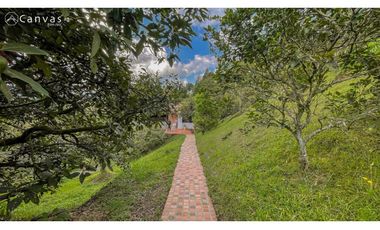 Finca Vereda La Mosquita Guarne