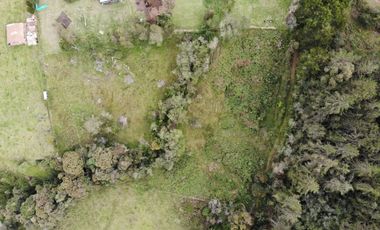 Lote Vereda Pantanillo Envigado