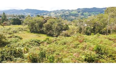 Lote Vereda Pantanillo Envigado
