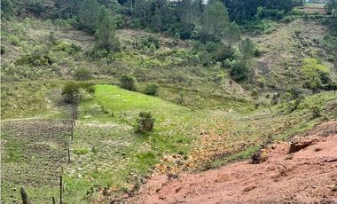Venta de Lotes en Parcelación San Vicente