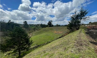 Venta de Lotes en Parcelación San Vicente