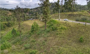 Lote vía Don Diego - La Ceja, El Retiro