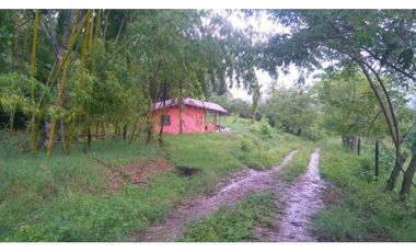Lote en Venta en Amagá