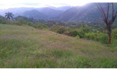 Lote en Venta en Amagá
