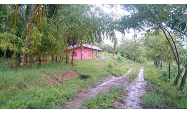 Lote en Venta en Amagá