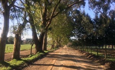 Parcela en venta en PUYEHUE