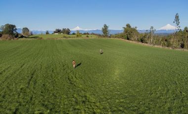 Parcela en venta en PUYEHUE