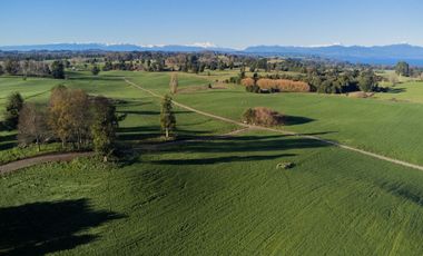 Parcela en venta en PUYEHUE