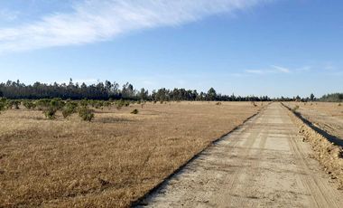 Parcela en venta en LITUECHE