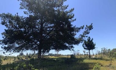 Parcela en venta en LITUECHE