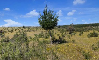Parcela en venta en LITUECHE