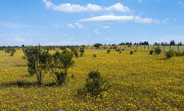 Parcela en venta en LITUECHE