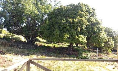 Parcela en Venta en CONDOMINIO URBANIZADO