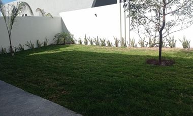 Estrena Casa En Corregidora