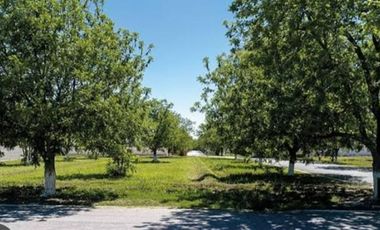 TERRENO EN VENTA EN SAN ARMANDO, TORREON, COAHUILA