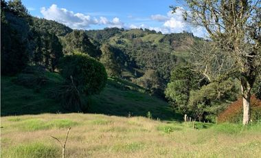 VENTA DE LOTE EN SAJONIA