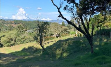 VENTA DE LOTE EN SAJONIA