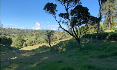 VENTA DE LOTE EN SAJONIA