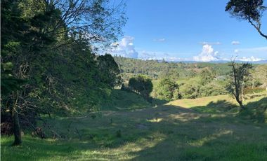 VENTA DE LOTE EN SAJONIA