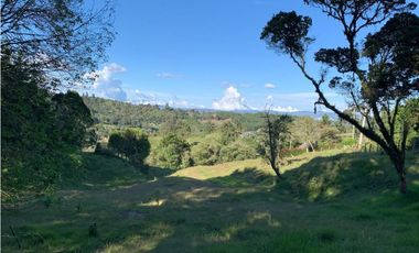 VENTA DE LOTE EN SAJONIA