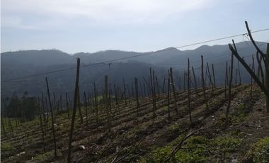 Venta de Finca en  Soacha - Vereda San Francisco