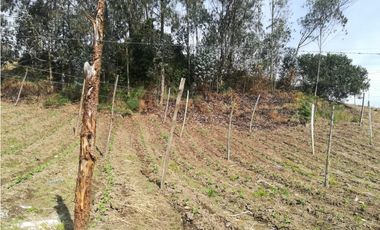 Venta de Finca en  Soacha - Vereda San Francisco