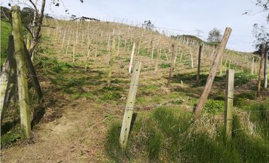 Venta de Finca en  Soacha - Vereda San Francisco