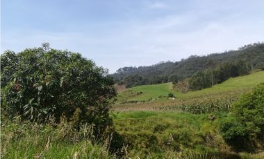 Venta de Finca en  Soacha - Vereda San Francisco