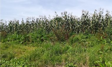Venta de Finca en  Soacha - Vereda San Francisco