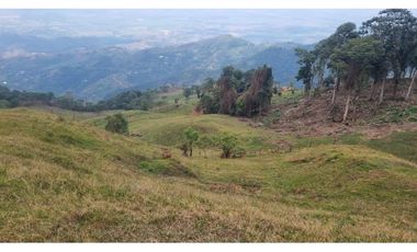 Lote de 2.749m2 en parcelación en venta La Buitrera Palmira Valle