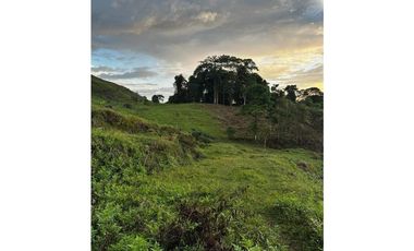 Lote de 2.749m2 en parcelación en venta La Buitrera Palmira Valle