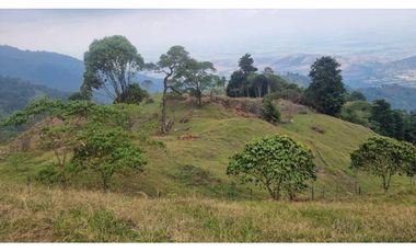 Lote de 2.749m2 en parcelación en venta La Buitrera Palmira Valle