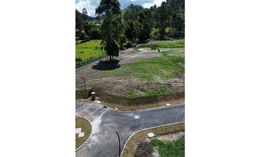 SE VENDEN LOTES CAMPESTRES EN LA CEJA CONDOMINIO CATALUÑA SECTOR TAMBO