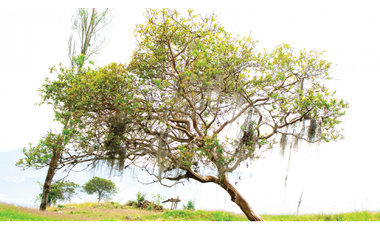 Venta de lote Poblado de San Felix - Bello
