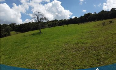 Vendo Lote de 3.483mts en Tabio Rio Frio Oriental