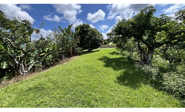 VENTA DE FINCA EN ALCAL, VALLE, COLOMBIA