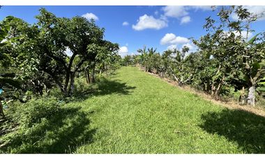 VENTA DE FINCA EN ALCAL, VALLE, COLOMBIA