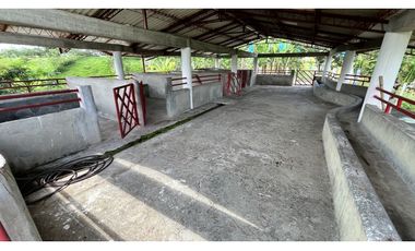 VENTA DE FINCA EN ALCAL, VALLE, COLOMBIA