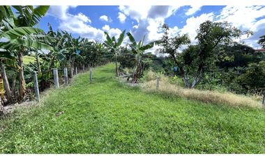 VENTA DE FINCA EN ALCAL, VALLE, COLOMBIA