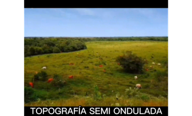 HACIENDA DE 2.000 HECTAREAS EN VENTA, PUERTO LOPEZ META