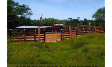 HACIENDA DE 2.000 HECTAREAS EN VENTA, PUERTO LOPEZ META