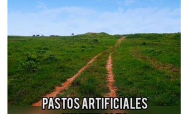 HACIENDA DE 2.000 HECTAREAS EN VENTA, PUERTO LOPEZ META