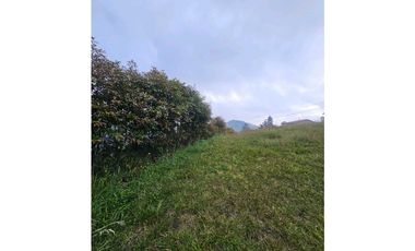 VENTA LOTE VEREDA LA MIEL VIA LA CATEDRAL