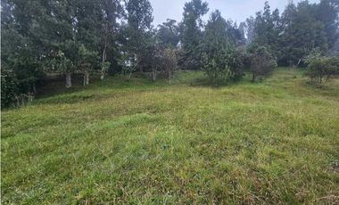 VENTA LOTE VEREDA LA MIEL VIA LA CATEDRAL