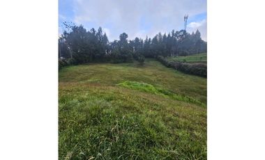 VENTA LOTE VEREDA LA MIEL VIA LA CATEDRAL